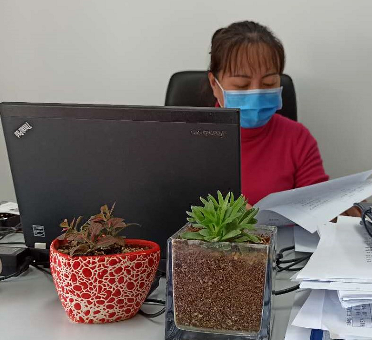 图片1.png 图片1.png