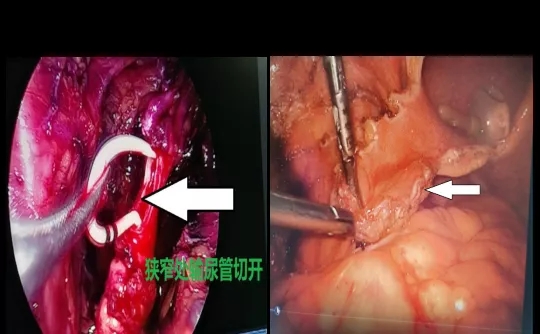 640.webp (3).jpg 640.webp (3).jpg