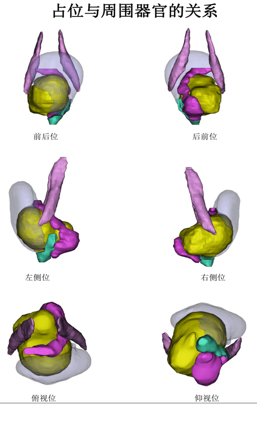 图片13.png 图片13.png