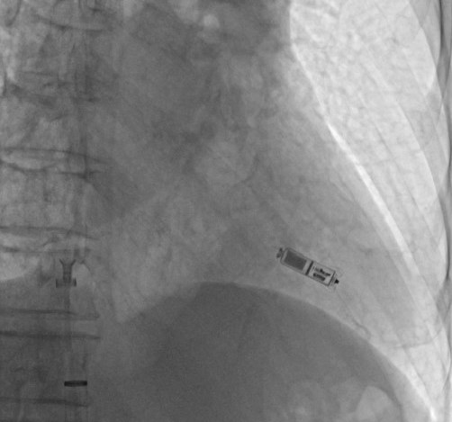 图片10.png 图片10.png