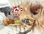 核桃隔膜是药，是真的吗？